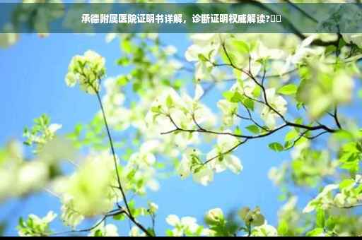 承德附属医院证明书详解，诊断证明权威解读?⚡️