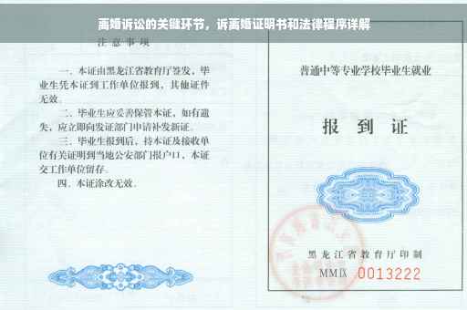 离婚诉讼的关键环节，诉离婚证明书和法律程序详解