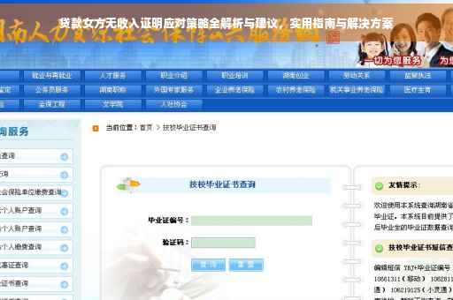 贷款女方无收入证明应对策略全解析与建议，实用指南与解决方案