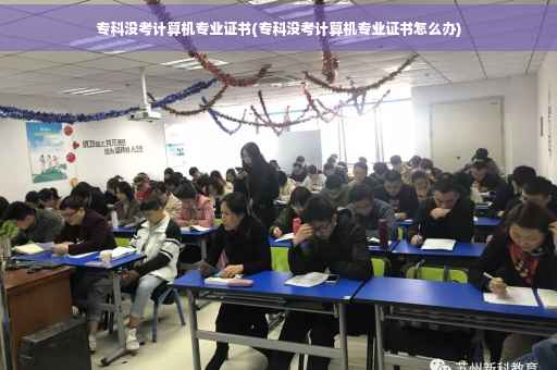 专科没考计算机专业证书(专科没考计算机专业证书怎么办)