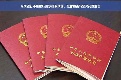 光大银行手机银行流水拉取攻略，操作指南与常见问题解答