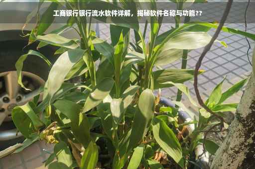 工商银行银行流水软件详解，揭秘软件名称与功能??
