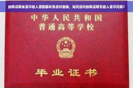 纳税证明未显示收入原因解析及应对策略，如何应对纳税证明无收入显示问题？
