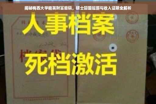 揭秘梅西大学精英财富密码，硕士回国起薪与收入证明全解析