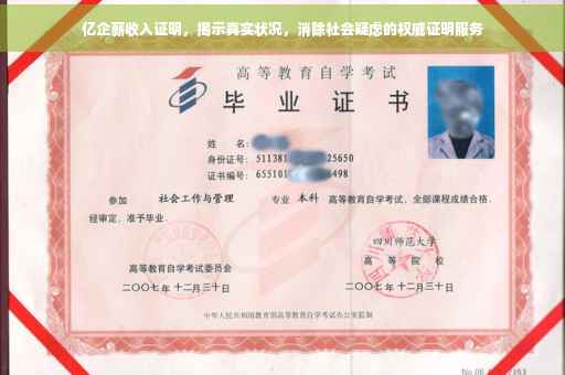 亿企薪收入证明，揭示真实状况，消除社会疑虑的权威证明服务