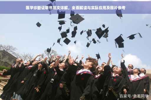 医学诊断证明书范文详解，全面解读与实际应用及图片参考