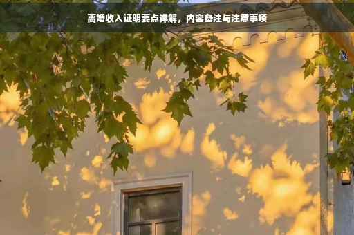 离婚收入证明要点详解，内容备注与注意事项