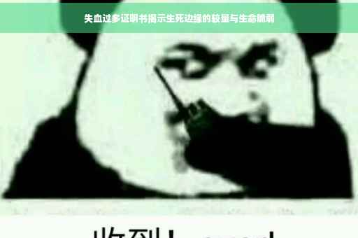 失血过多证明书揭示生死边缘的较量与生命脆弱