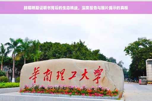 肺癌晚期证明书背后的生命挑战，深度报告与图片揭示的真相