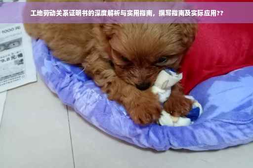 工地劳动关系证明书的深度解析与实用指南，撰写指南及实际应用??