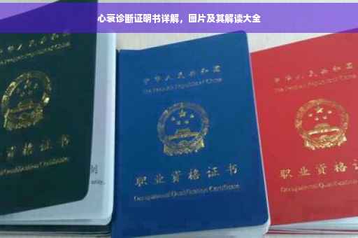 心衰诊断证明书详解，图片及其解读大全