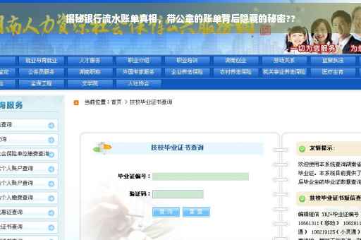揭秘银行流水账单真相，带公章的账单背后隐藏的秘密??