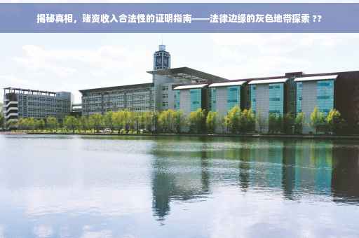 揭秘真相，赌资收入合法性的证明指南——法律边缘的灰色地带探索 ??