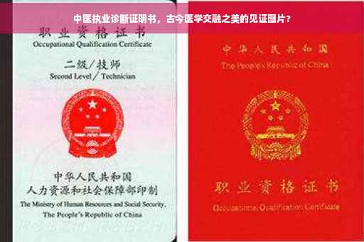 中医执业诊断证明书，古今医学交融之美的见证图片?