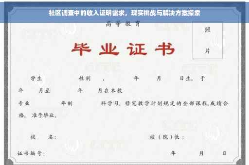 社区调查中的收入证明需求，现实挑战与解决方案探索