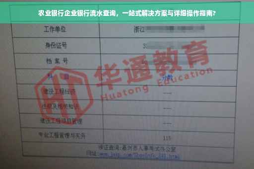农业银行企业银行流水查询，一站式解决方案与详细操作指南?