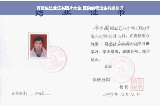 管培生毕业证书图片大全,医院的管培生有编制吗