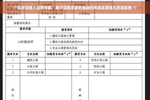 广东农信收入证明详解，揭示蓬勃发展的金融机构真实面貌与开具指南 ??