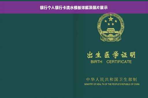 银行个人银行卡流水模板详解及图片展示