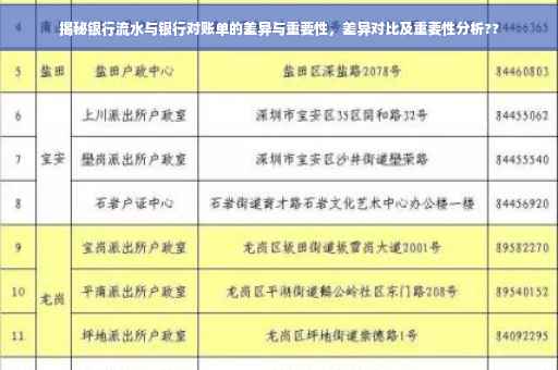揭秘银行流水与银行对账单的差异与重要性，差异对比及重要性分析??
