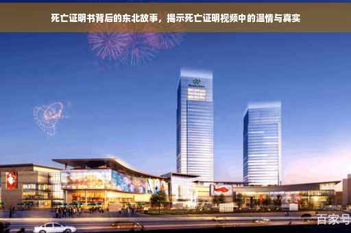 死亡证明书背后的东北故事，揭示死亡证明视频中的温情与真实