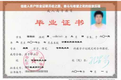 低收入农户创业证明开启之路，奋斗与希望之花的绽放历程
