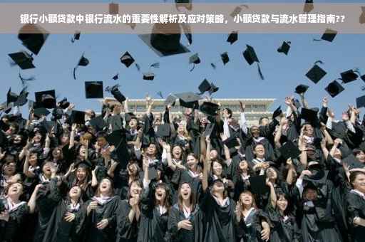 银行小额贷款中银行流水的重要性解析及应对策略，小额贷款与流水管理指南??