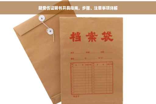 腿受伤证明书开具指南，步骤、注意事项详解