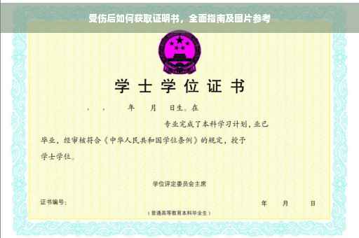 受伤后如何获取证明书，全面指南及图片参考