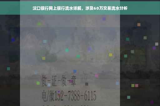 汉口银行网上银行流水详解，涉及60万交易流水分析