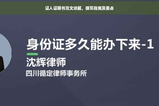 证人证明书范文详解，撰写指南及要点