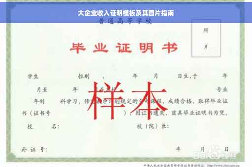 大企业收入证明模板及其图片指南