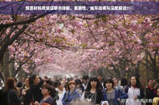 焊条材料质量证明书详解，重要性、编写指南与深度解读?⚡️