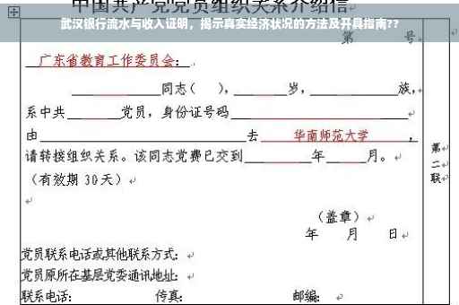 武汉银行流水与收入证明，揭示真实经济状况的方法及开具指南??