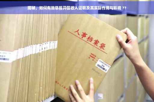 揭秘，如何有效举报开假收入证明及其实际作用与影响 ??
