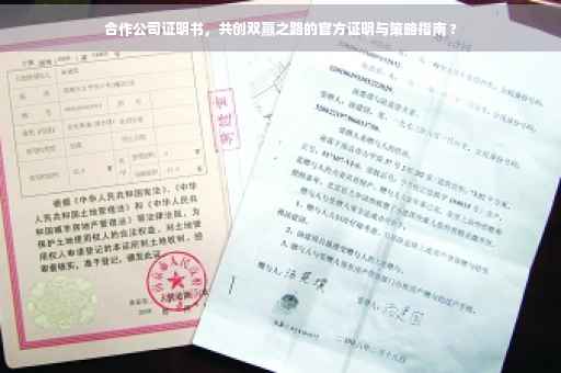 合作公司证明书，共创双赢之路的官方证明与策略指南 ?
