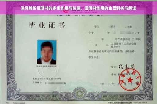 深度解析证明书的多重作用与价值，证明书作用的全面剖析与解读