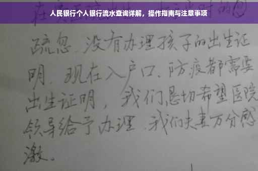 人民银行个人银行流水查询详解，操作指南与注意事项