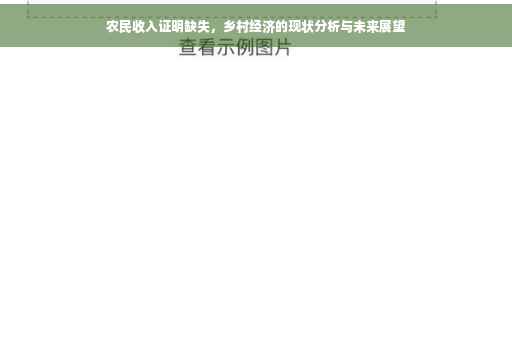 农民收入证明缺失，乡村经济的现状分析与未来展望