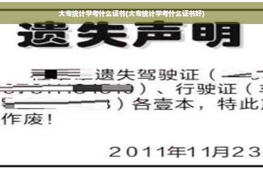 大专统计学考什么证书(大专统计学考什么证书好)