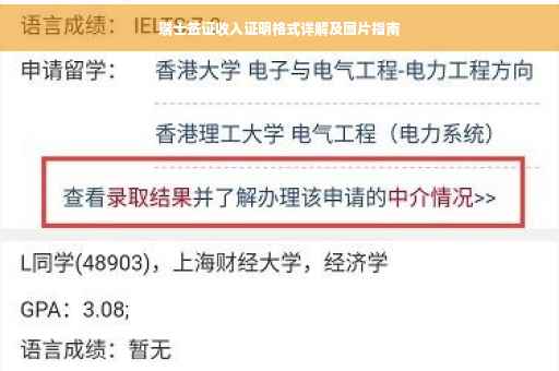 瑞士签证收入证明格式详解及图片指南