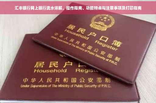 汇丰银行网上银行流水详解，操作指南、功能特点与注意事项及打印指南