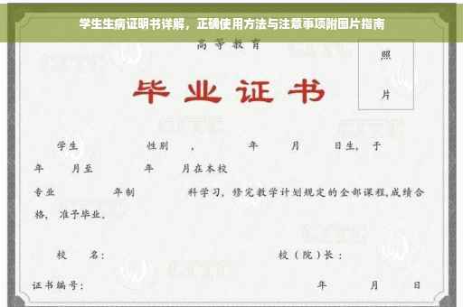 学生生病证明书详解，正确使用方法与注意事项附图片指南