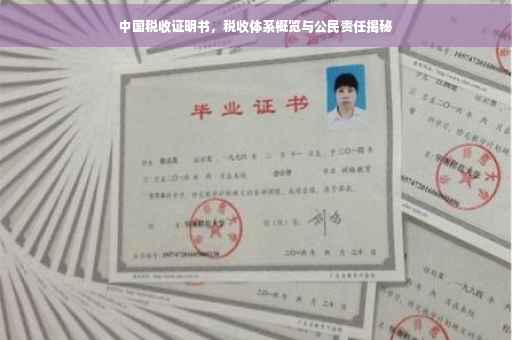 中国税收证明书，税收体系概览与公民责任揭秘