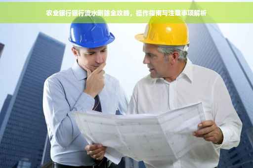 农业银行银行流水删除全攻略，操作指南与注意事项解析
