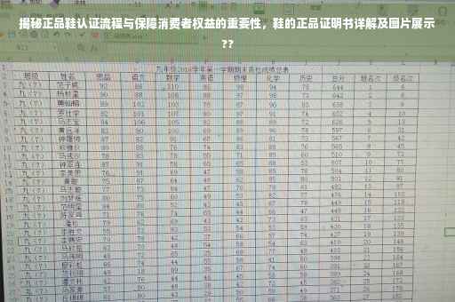 揭秘正品鞋认证流程与保障消费者权益的重要性，鞋的正品证明书详解及图片展示??