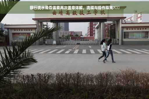银行流水是否需要再次盖章详解，流程与操作指南?⚡️