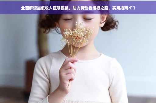 全面解读最低收入证明模板，助力劳动者维权之路，实用指南?⚡️