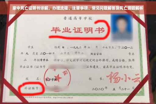 家中死亡证明书详解，办理流程、注意事项、常见问题解答及死亡原因解析