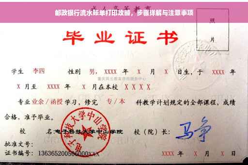 邮政银行流水账单打印攻略，步骤详解与注意事项